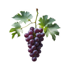 Fototapeta premium Grapes image with transparent background