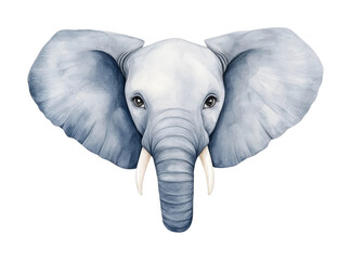 Majestic watercolor elephant head with large ears and tusks, cut out - stock png.