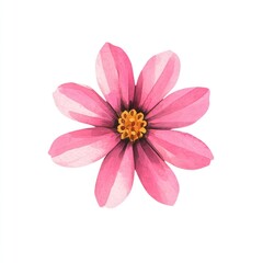 Fototapeta premium Pink flower watercolor petals illustration.