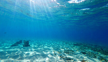 Obraz premium Underwater Photo of the Ocean