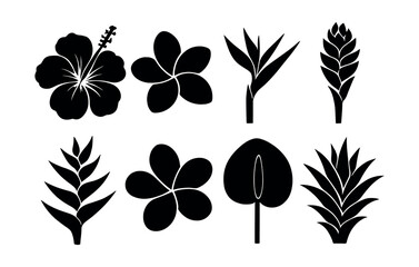 Tropical flower silhouette icons set – hibiscus, plumeria, bird of paradise. Vector icons set