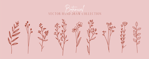 Set of flowers and plants trendy botanical elements. Hand drawn line minimalistic, pink