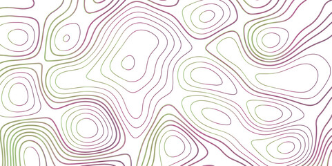 Topographic map background. Grid map. Modern design with White background with topographic wavy pattern design.