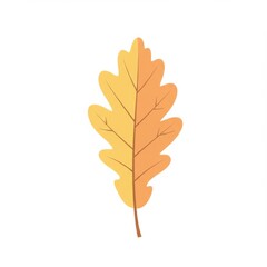 Yellow and Orange Autumn Leaf Illustration