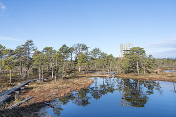Seli, Estonia - May 04 2025: Symmetrical Mire Hollow in Seli Raised Bog. Reflections of Bonsai Pines, Blue Sky, and Clouds on Still Water on a Bright Spring Day in Protected Wetland Landscape