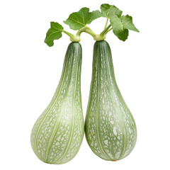 Unique pair of green summer squashes on white background PNG on a transparent background 