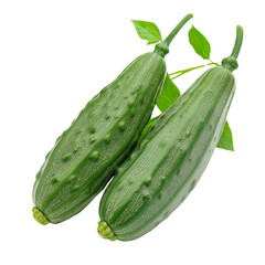 Green cucumbers freshly harvested from the garden PNG on a transparent background 