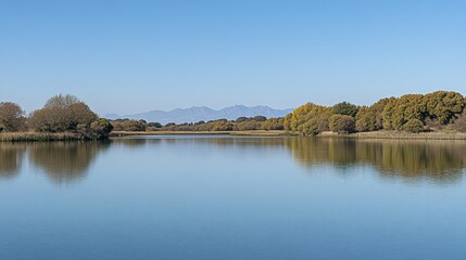 Calm water reflects trees and mountains on a clear bright day