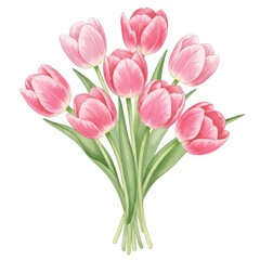 Fototapeta premium Watercolor Pink Tulip Bouquet on White Background
