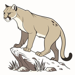 Obraz premium Cougar standing on rock with grass background