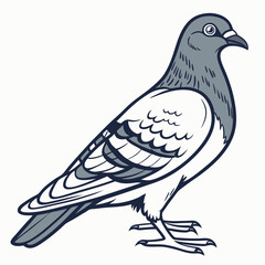 Fototapeta premium Illustrated pigeon standing in a side view with detailed feathers 