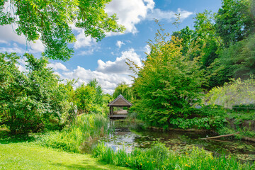 Hidden Pond with Water Lilies and Greenery in Ingolstadt