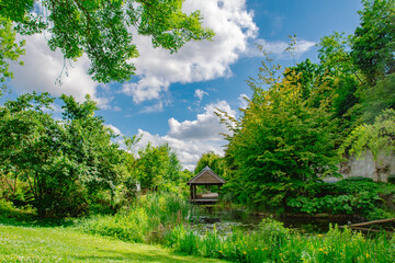 Hidden Pond with Water Lilies and Greenery in Ingolstadt