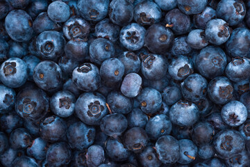 Background of fresh blueberries, close-up.
