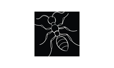 spider on a white background