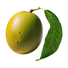 Mango Fruit Image With Transparent Background