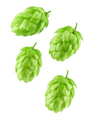 Fototapeta premium hop