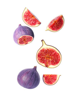 recommend clip art: Fig