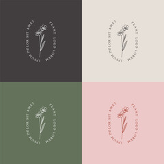 Plants minimalist logo design, trendy wildflower lllustration, botanical art