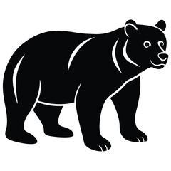 bear vector illustration