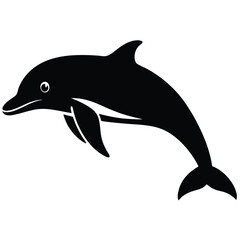 dolphin isolated on white background
