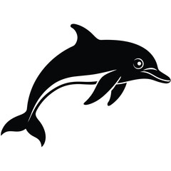 Fototapeta premium dolphin isolated on white background