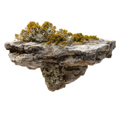 Obraz premium Isolated Floating Rock with Lichen and Moss