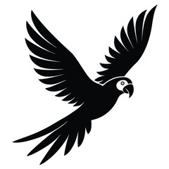 vector illustration a bird