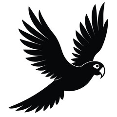 vector illustration a bird