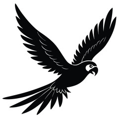 vector illustration a bird