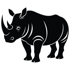 rhino isolated on white