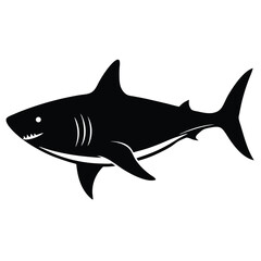 Fototapeta premium shark vector illustration