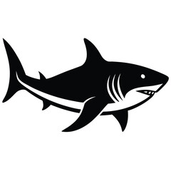 Obraz premium shark isolated on white