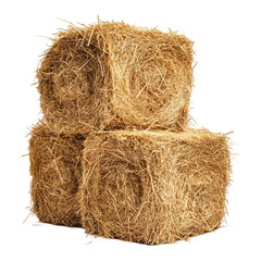 Two square hay bales stacked together golden hay texture rural agriculture farming livestock feed