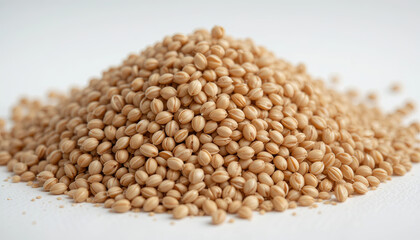 Fototapeta premium A mound of light brown coriander seeds is displayed on a clean white surface. The seeds glisten under natural light, showcasing their texture and color, ideal for cooking