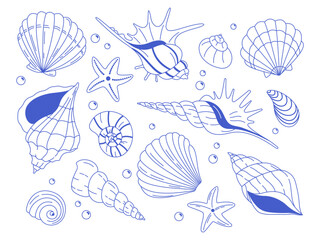 Hand-drawn blue seashells and starfish on a white background. Marine decorative elements for summer designs.
