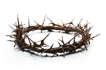 Fototapeta premium Crown of Thorns white background accessories accessory.