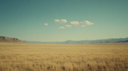 Fototapeta premium A vast open grassland under a beautiful clear blue sky