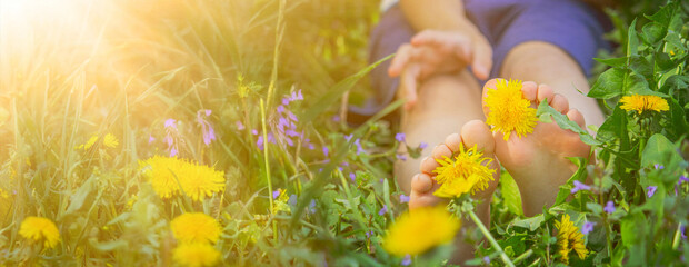 Close up of a child barefoot with yellow dandelion flowers on fresh green grass.Summer spring season