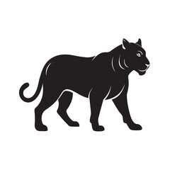 Tiger Prowling With Stealthy Silent Motion