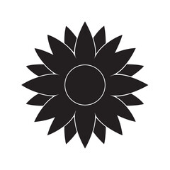 Sunflower With Giant Head Blooming Bright