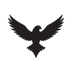 Hawk Soaring High In Sky