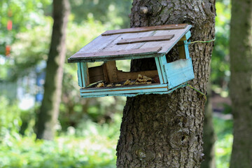 A simple bird feeder hanging outdoors, possibly in a park or backyard. An inviting space for birds in a natural setting.