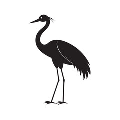 Crane Bird Standing In Pond