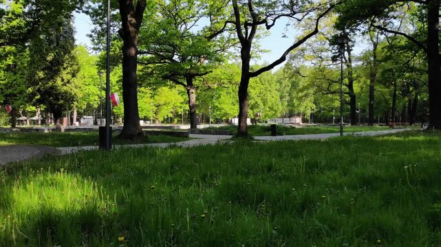 Dąbrowa G&oacute;rnicza, aerial shots of Park Zielona