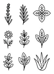 Adobe Illustrator Artwork
