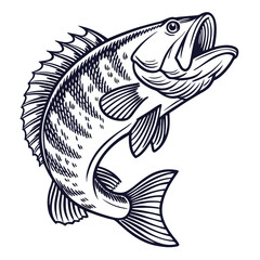 Largemouth Bass Fish Illustration Black and White Line Art Graphic Design