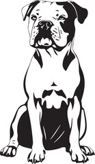 adorable american bulldog