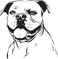 funny american bulldog