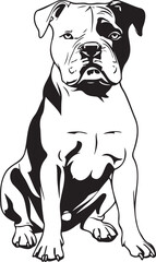 american bulldog portrait